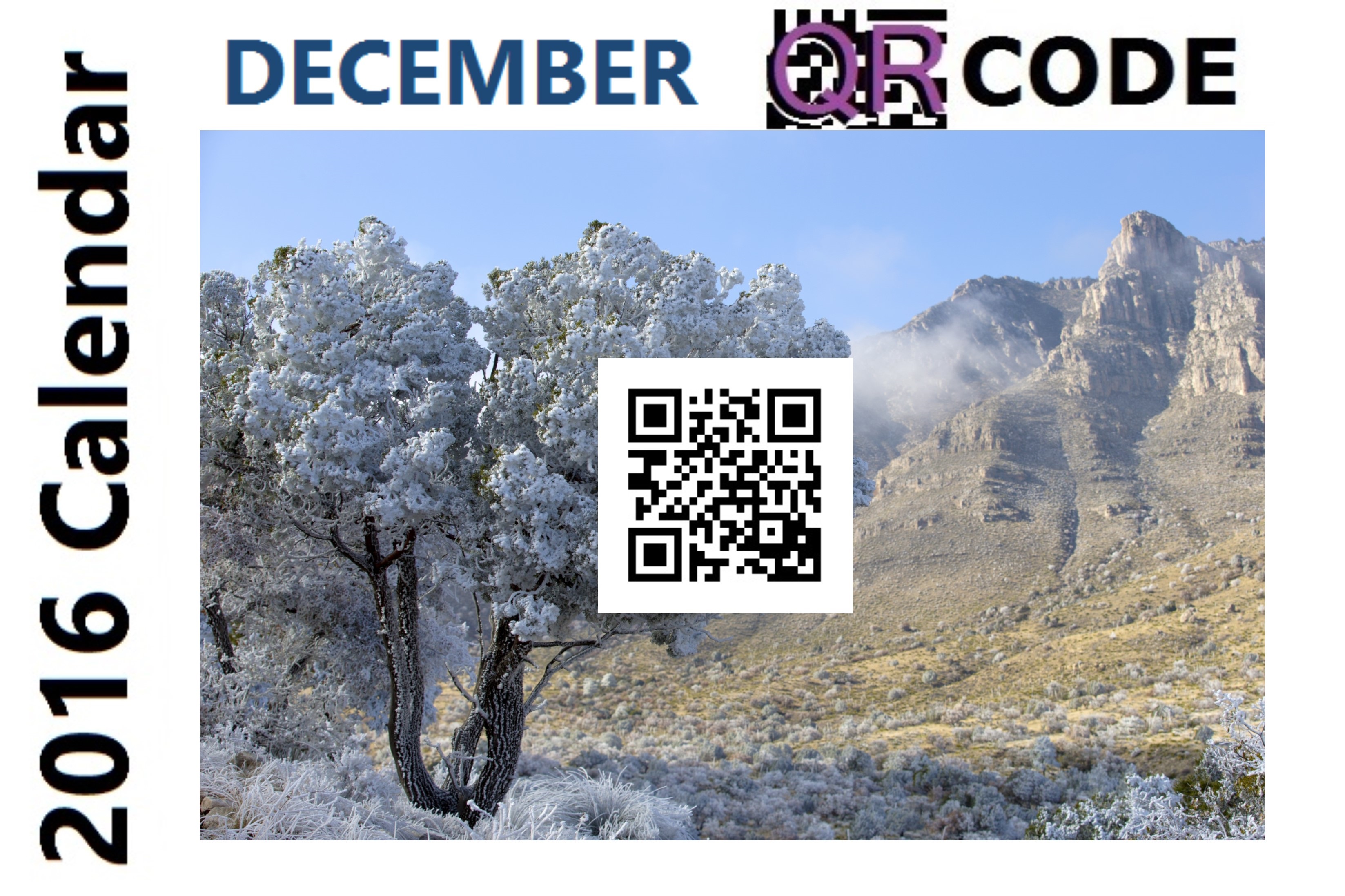 December 2016 QR Code BEBdata